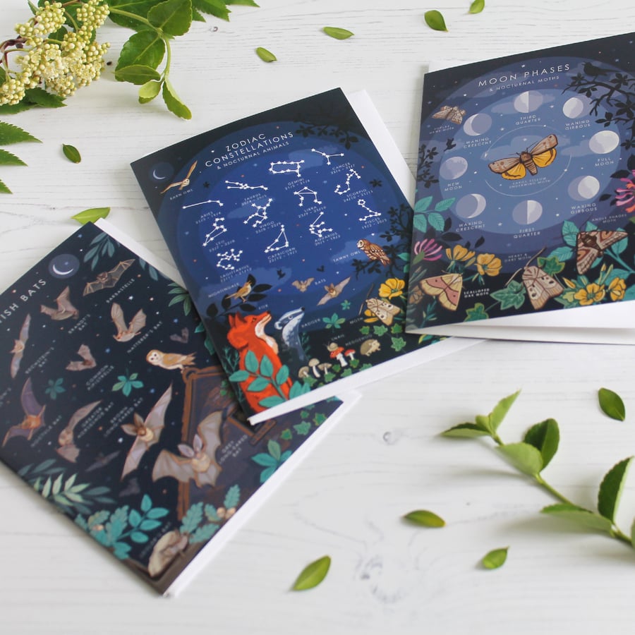 British Nature Guides Set of 3 Note Cards Moon Phases, Constellations and Bats