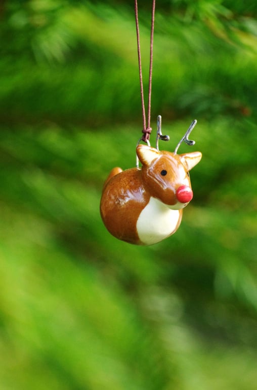 Reindeer with Red Nose - Decorations 