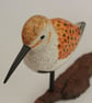 Summer dunlin duo - Image 4