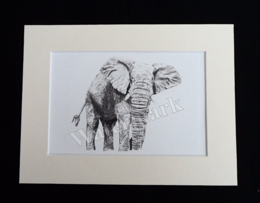 Elephant charcoal drawing print