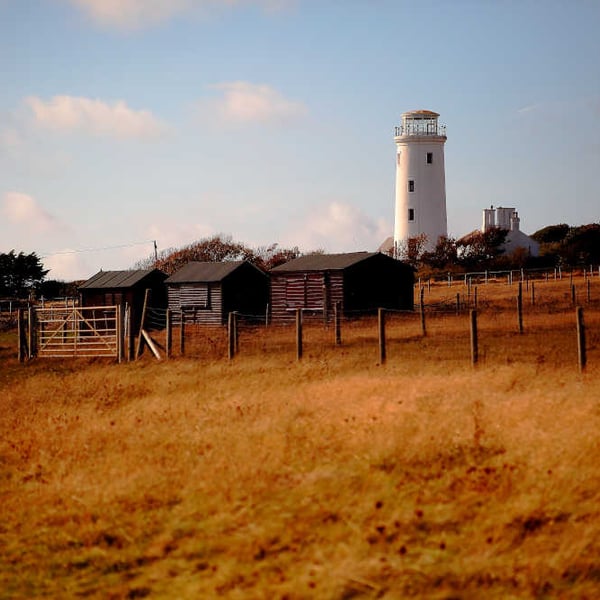 Portland, Dorset Picture, Old Lighthouse Portland Print
