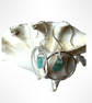 Silver Sea Glass Hoop Earrings - Image 3