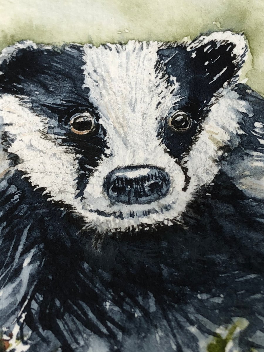 Original watercolour of Barry Badger - ACEO - free UK postage 