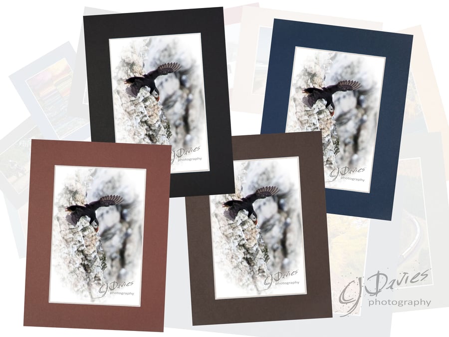 CJ256 - Puffin drop-off