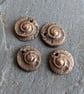 Bronze Ammonite Charms 1 Pair