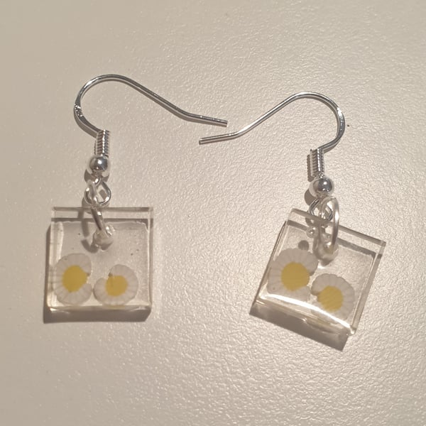 Square daisy resin earrings