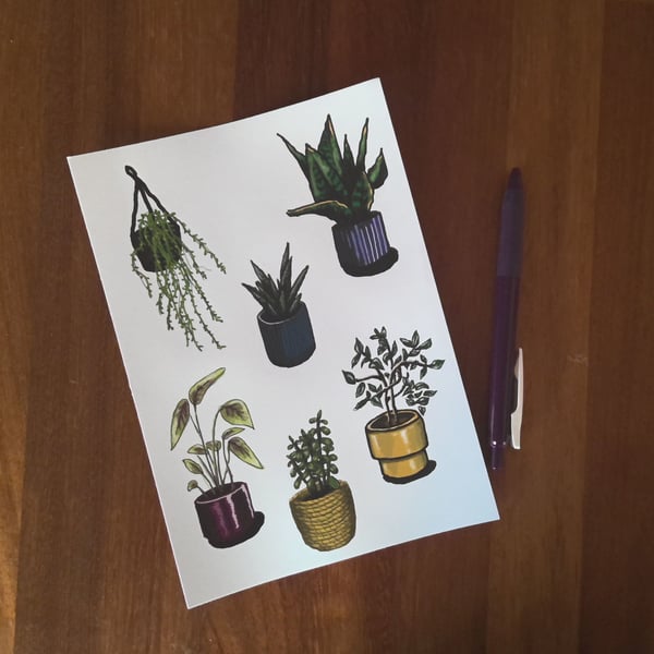 Houseplant stickers