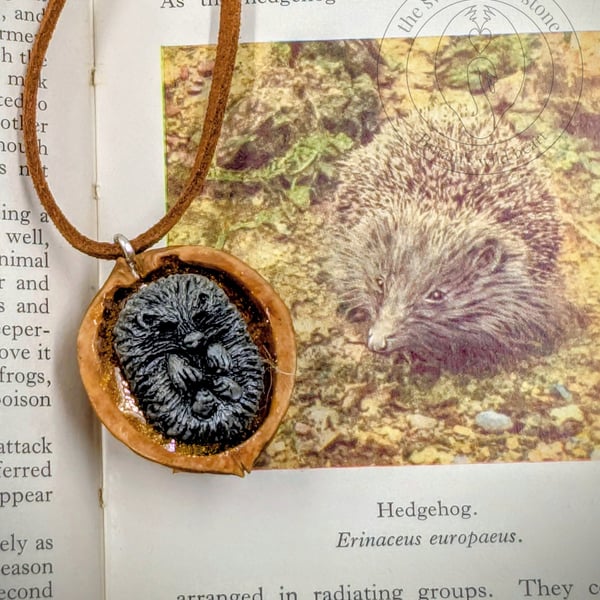 Handmade Hedgehog Wildlife Pendant - Cast in Silver Resin, Polished Walnut Shell