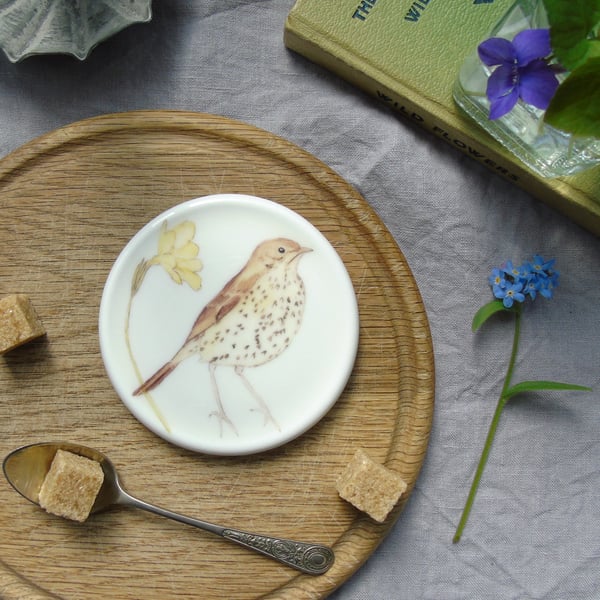 Song thrush and primrose bone china coaster