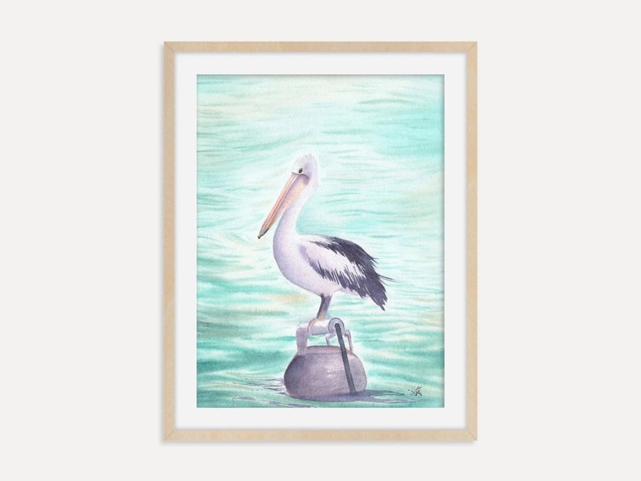 Australian Pelican Art Print, Pelican Wall Art, Australian Wildlife Bird Decor