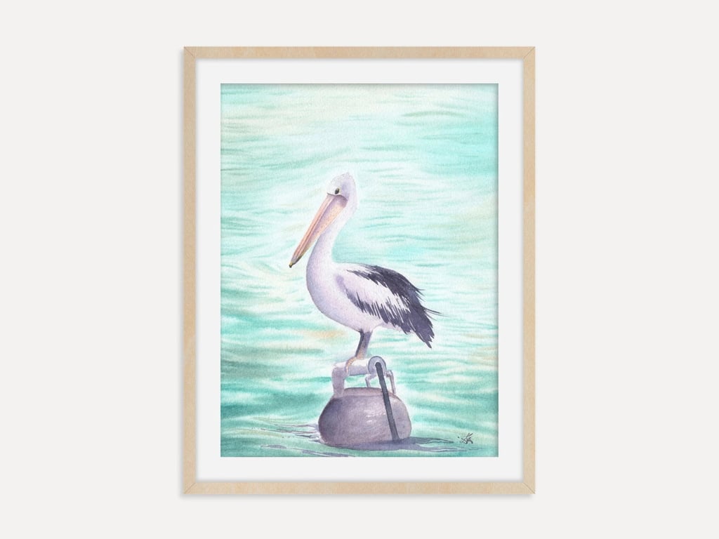 Australian Pelican Art Print, Pelican Wall Art, Australian Wildlife Bird Decor