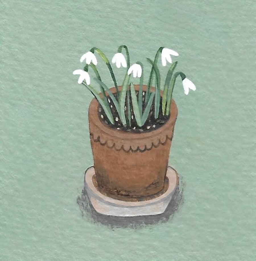 First Snowdrops Of Winter