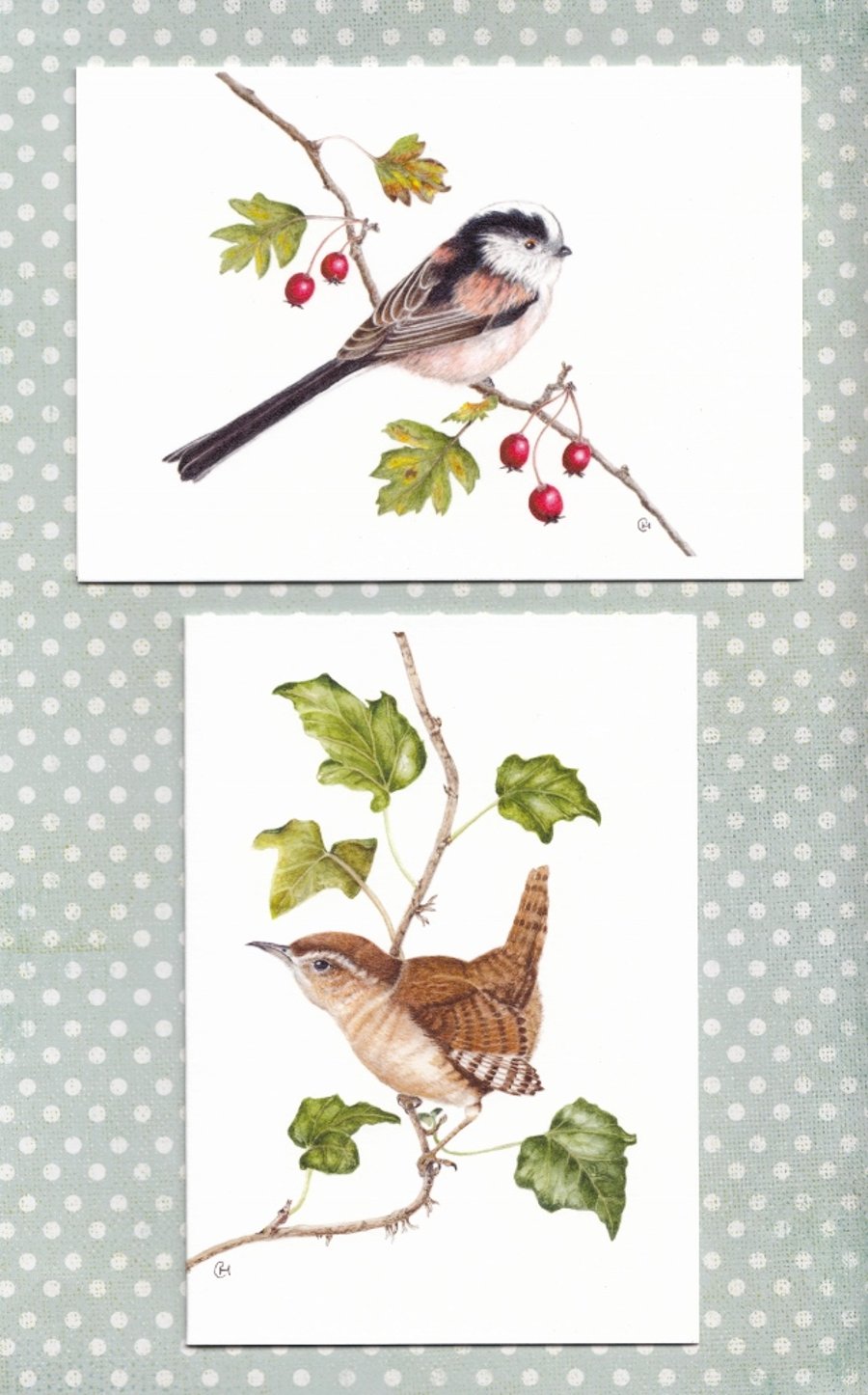 Garden Birds Cards, Long-Tailed Tit and Wren, Pack of two