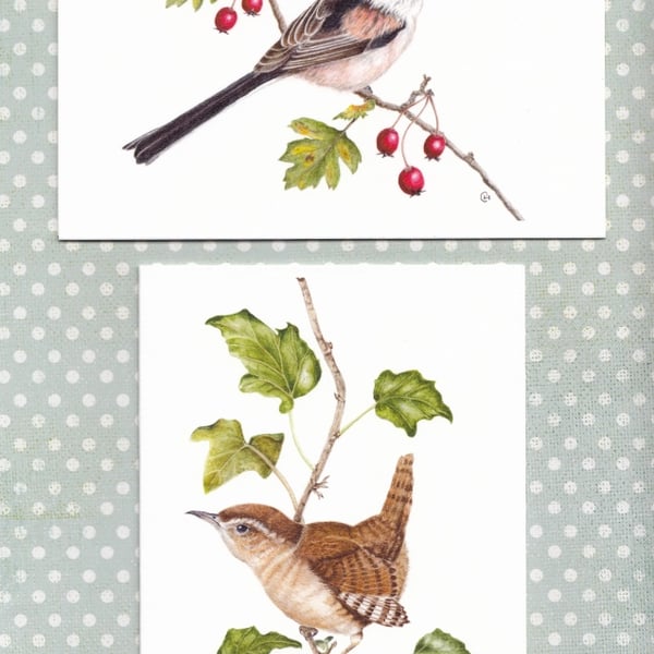 Garden Birds Cards, Long-Tailed Tit and Wren, Pack of two