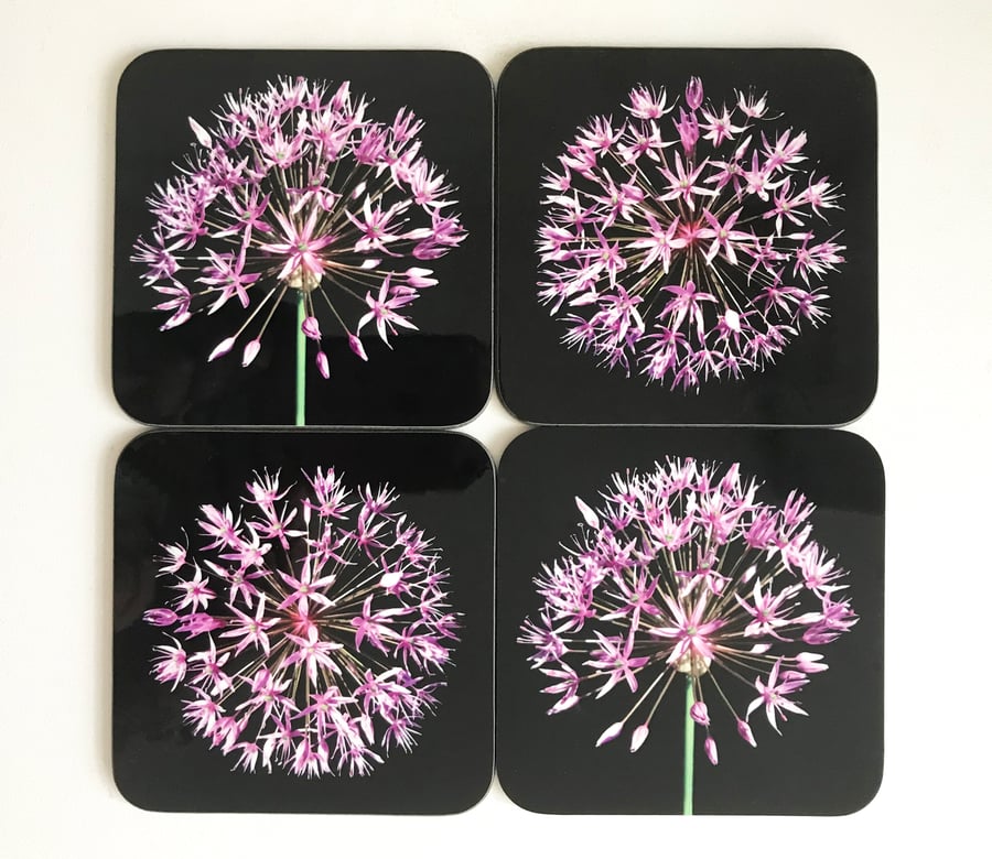 Pink Allium Flowers Coaster set of 4 square coasters