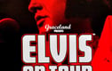 Music Artists Concerts Photographs Prints