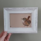 Framed Original Art Soft Pastel Drawing of a Wren 