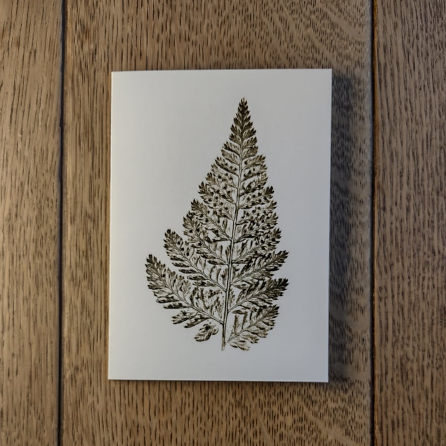 Fern. Image made on a printing press.
