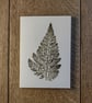 Fern. Image made on a printing press.