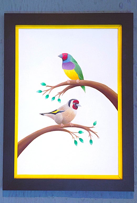 Handmade Framed A3 Print Colourful Gouldian GoldFinch Yellow Border Wallart
