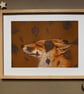 Harmony Fox Framed Print  - Image 2