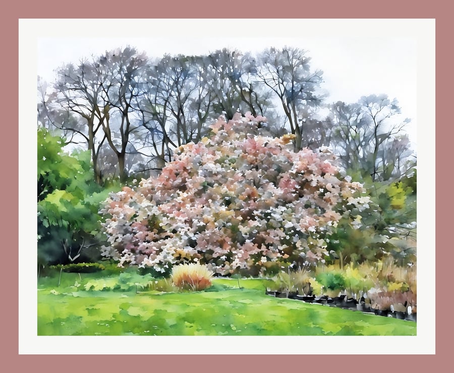 Stunning Magnolia Walled Garden West Acre Gardens Norfolk Greeting Card A5