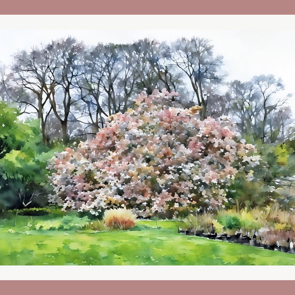 Stunning Magnolia Walled Garden West Acre Gardens Norfolk Greeting Card A5
