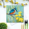 Kingfisher with Willow and Marsh Marigolds Greetings Card - British Bird