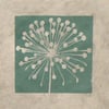 Allium seed head mini linocut print