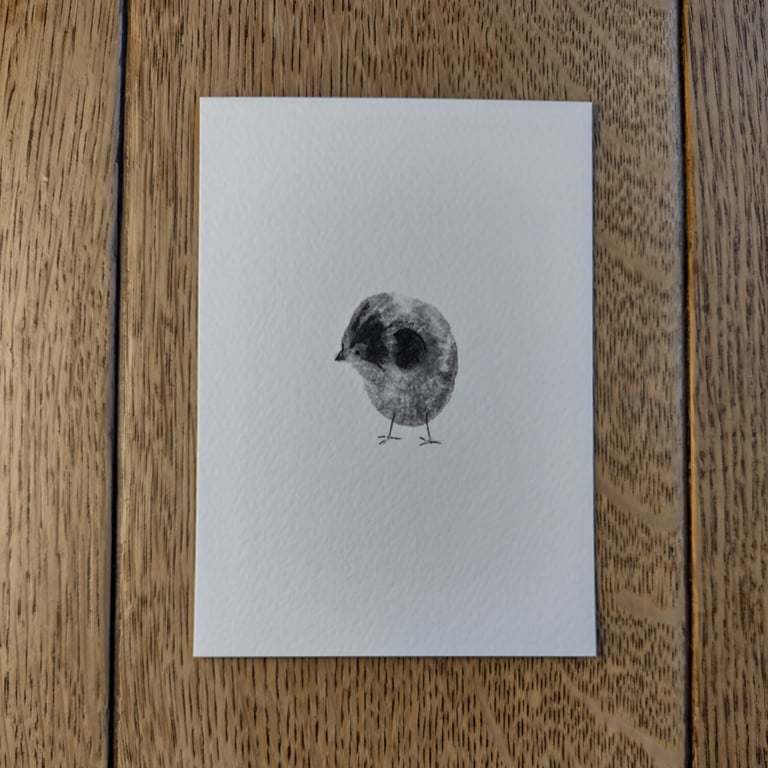 Chick Postcard