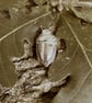 Solid silver acorn pendant - Image 5