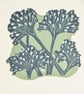 Wild Parsnip - Original Handmade Lino Print - Image 1