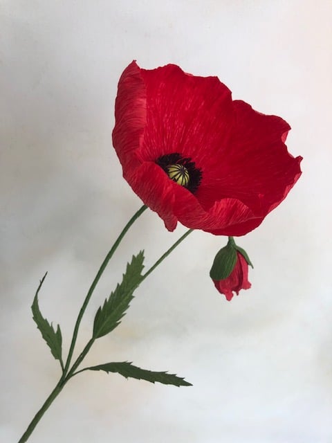 Paper poppy