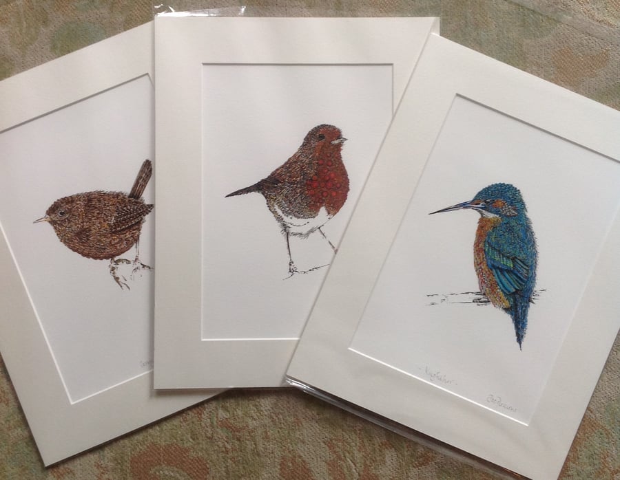 A Trio of British Bird a4, mounted Prints OFFER