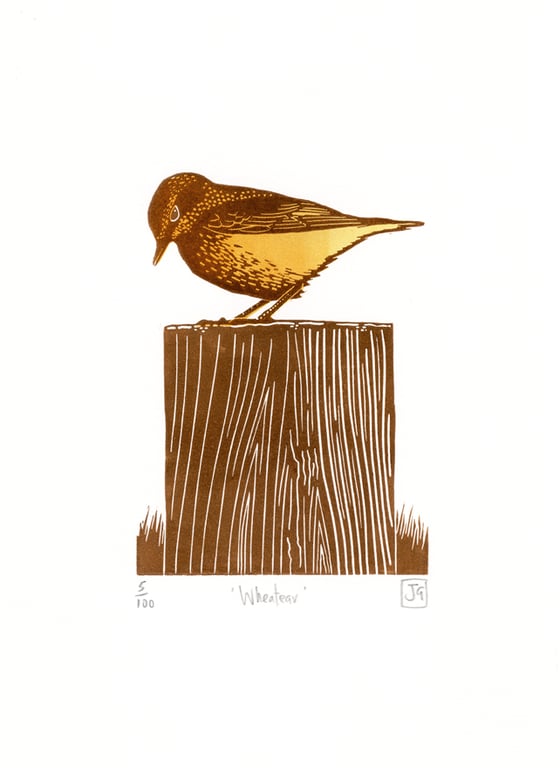 Wheatear two-colour linocut print
