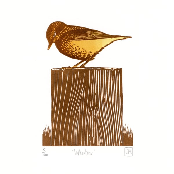 Wheatear two-colour linocut print