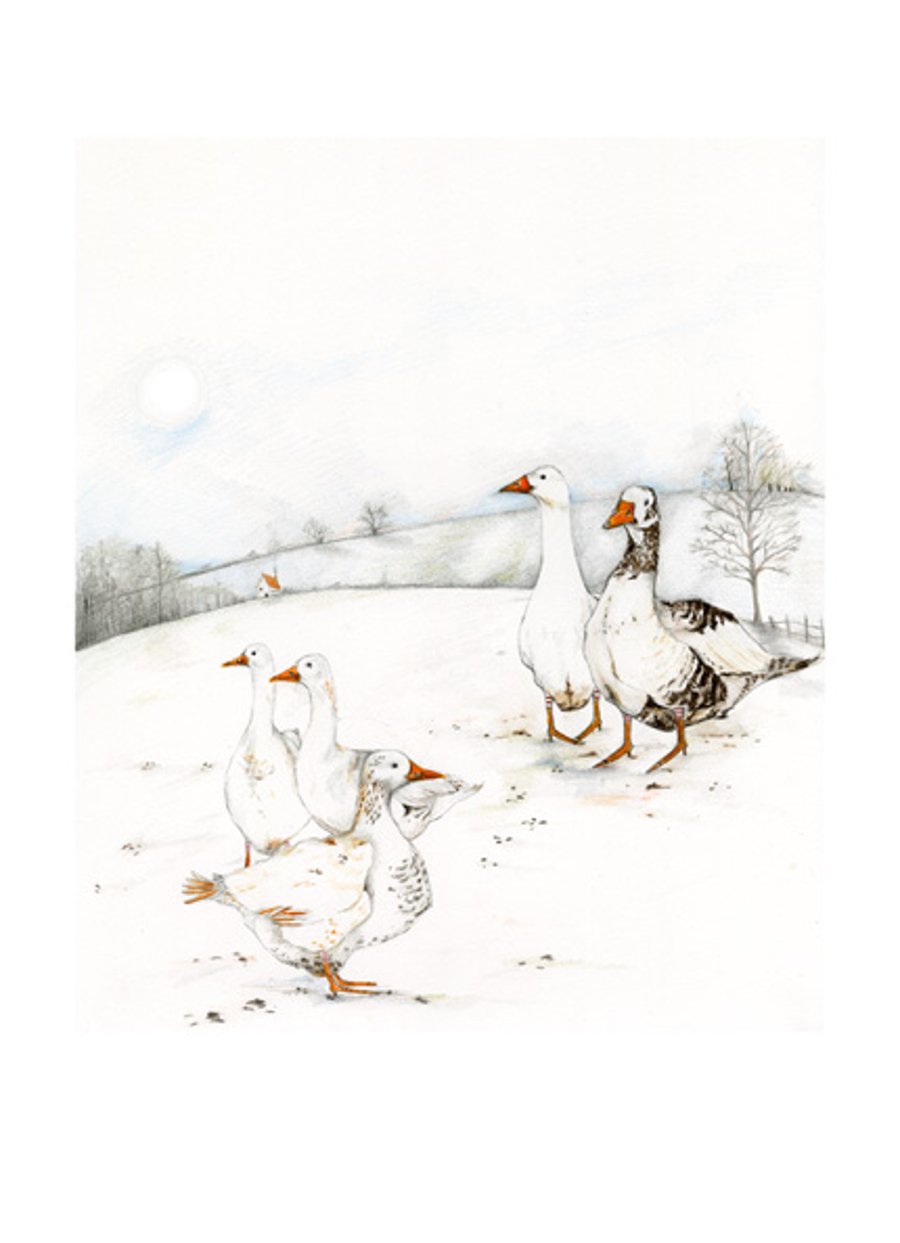 Goose bird print Geese in landscape A4 illustration print