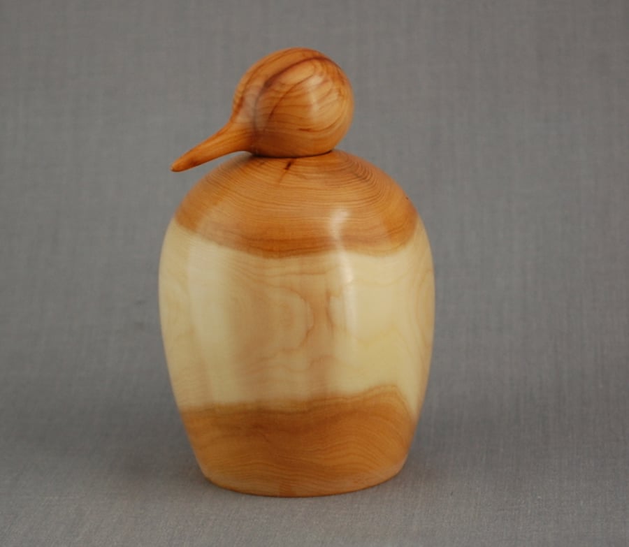 Stately Penguin in Yew