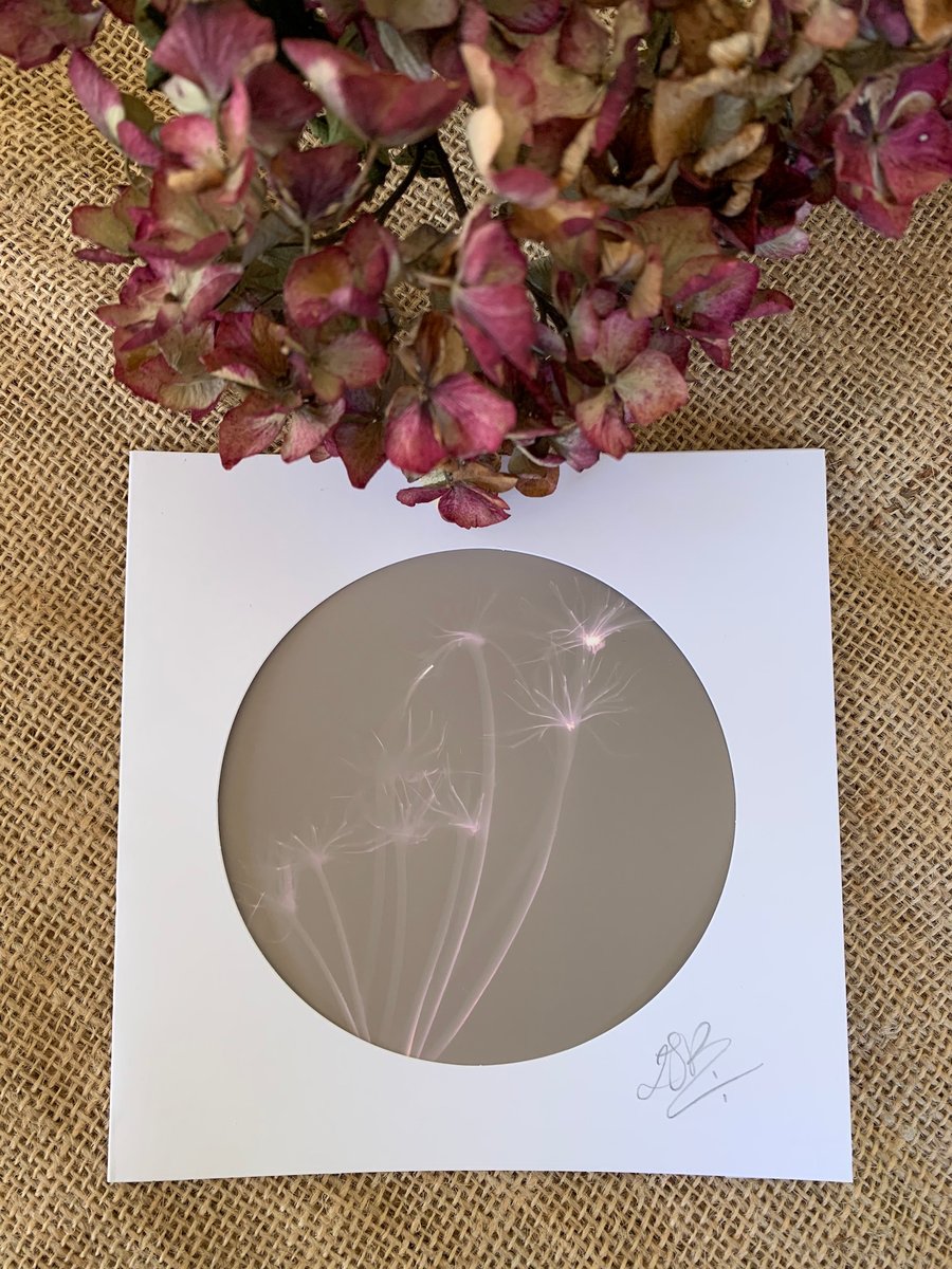 Handmade Seed Head Lumen Print Blank Card