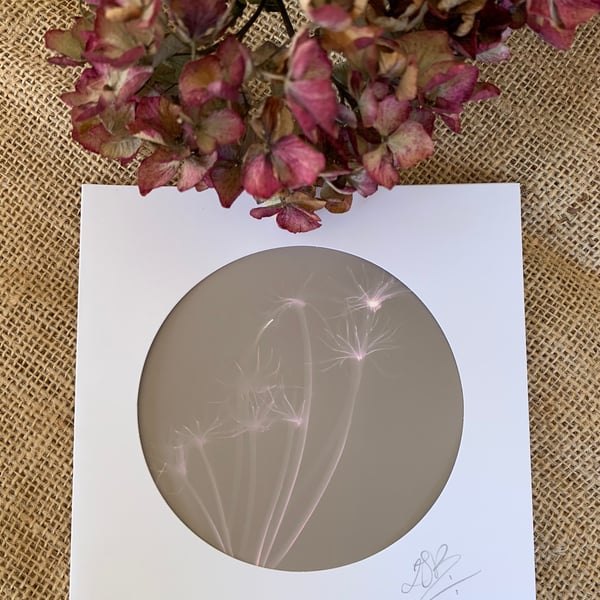 Handmade Seed Head Lumen Print Blank Card