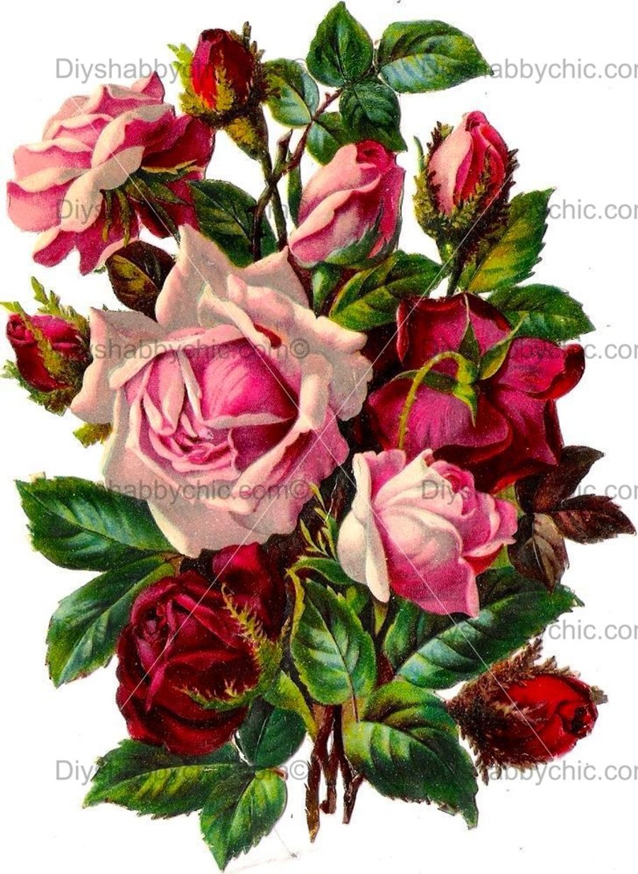 Waterslide Wood Furniture Vintage Image Transfer DIY Shabby Chic Dark Red Roses