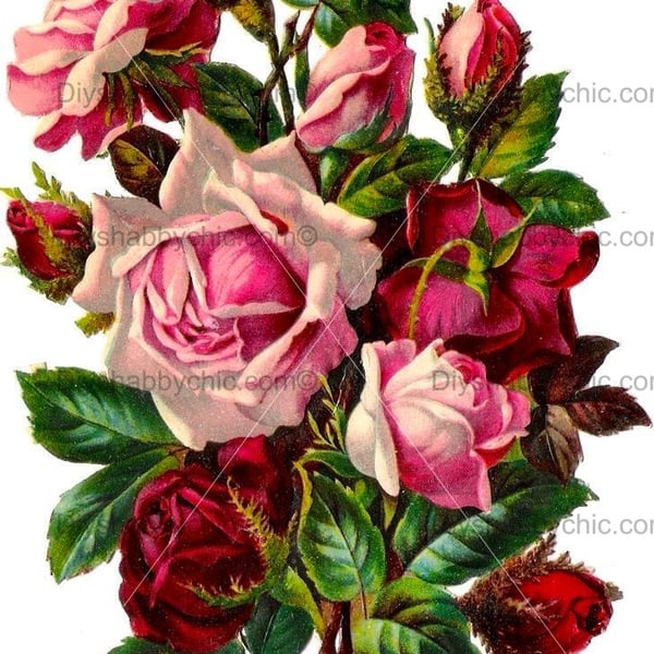 Waterslide Wood Furniture Vintage Image Transfer DIY Shabby Chic Dark Red Roses