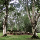 Tiny Productions Jewellery