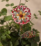 Red, white spotted & red flower plant companion perfect for pot plants
