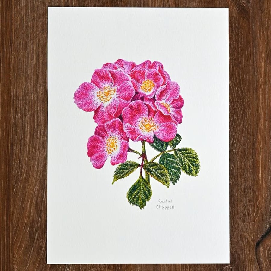 Rose A5 Signed Print