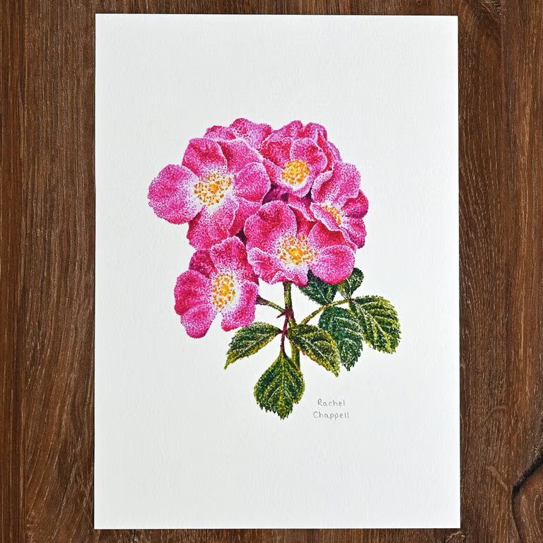 Rose A5 Signed Print