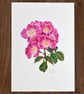 Rose A5 Signed Print