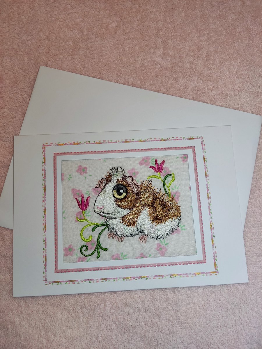 Guinea Pig - Birthday 