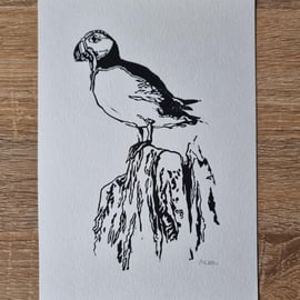 The Puffin Open Edition Handpulled Linoprint Isles Collection