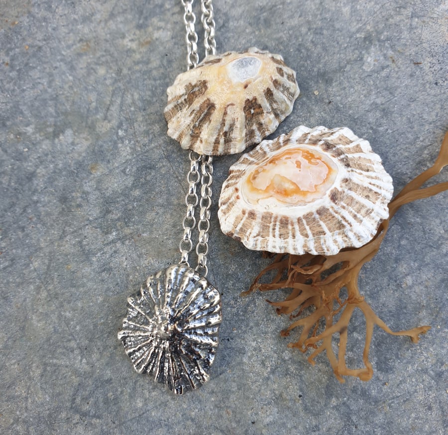 Silver limpet sea shell pendant